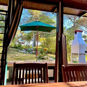  Appartamento All'ombra Dei Pini - Casa Vacanze